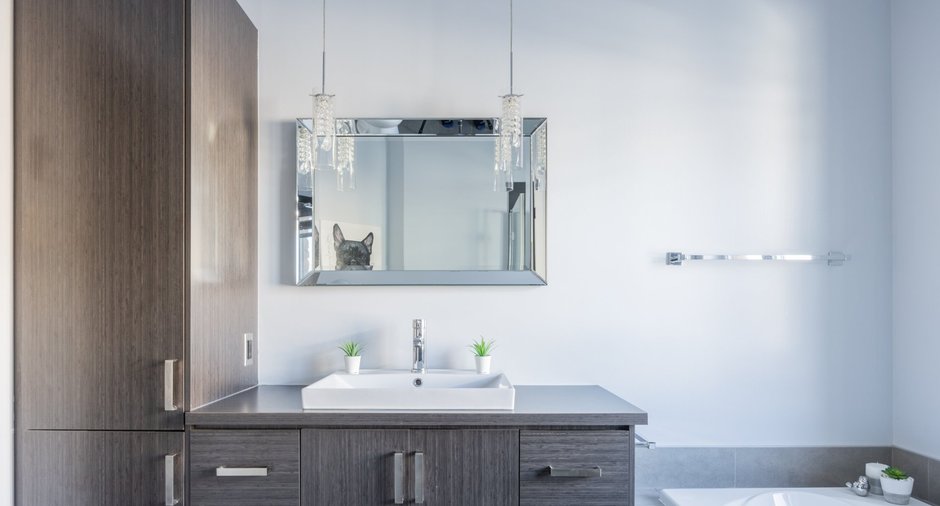 Image  de la propriété