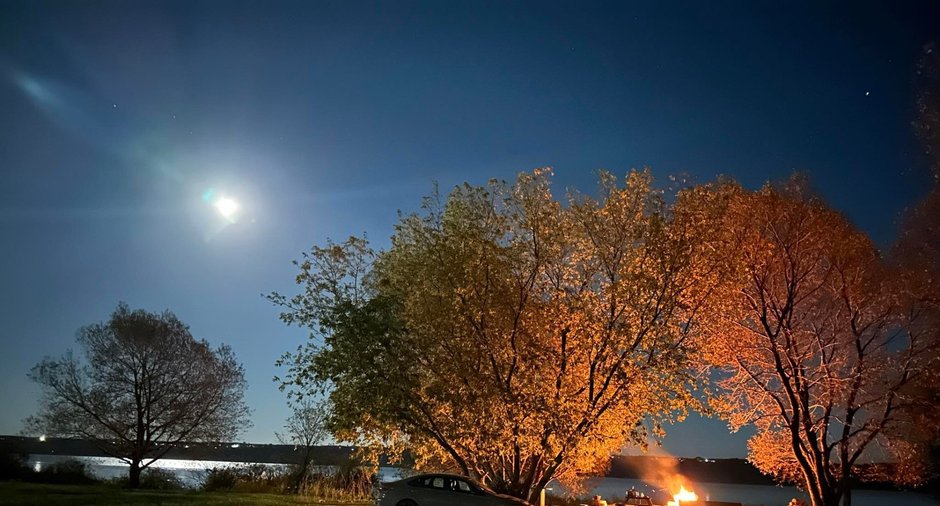 Image  de la propriété