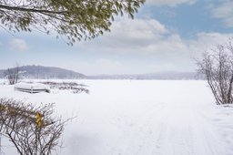 Aperçu de l'image  de la propriété