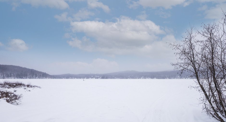 Image  de la propriété