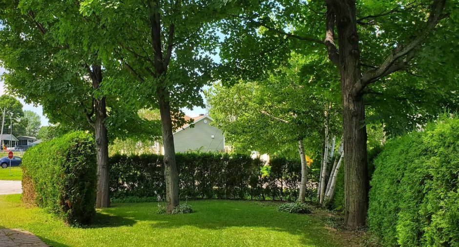 Image  de la propriété