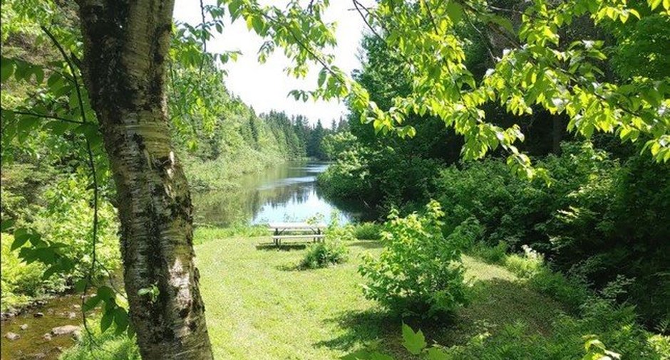 Image  de la propriété