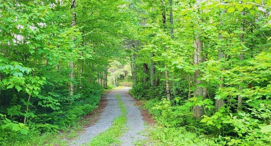 Image  de la propriété